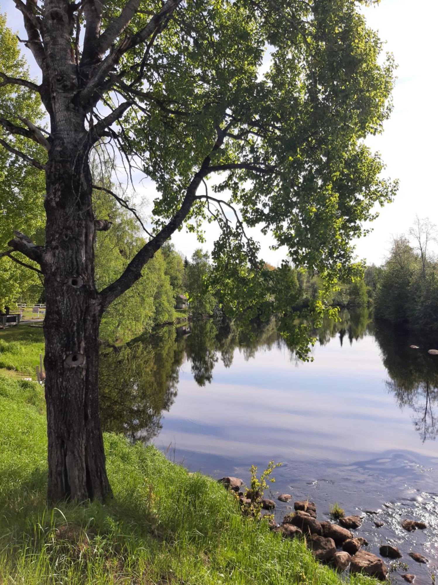 Huhtaniemen Moekkikylae Hotel Veteli Kültér fotó